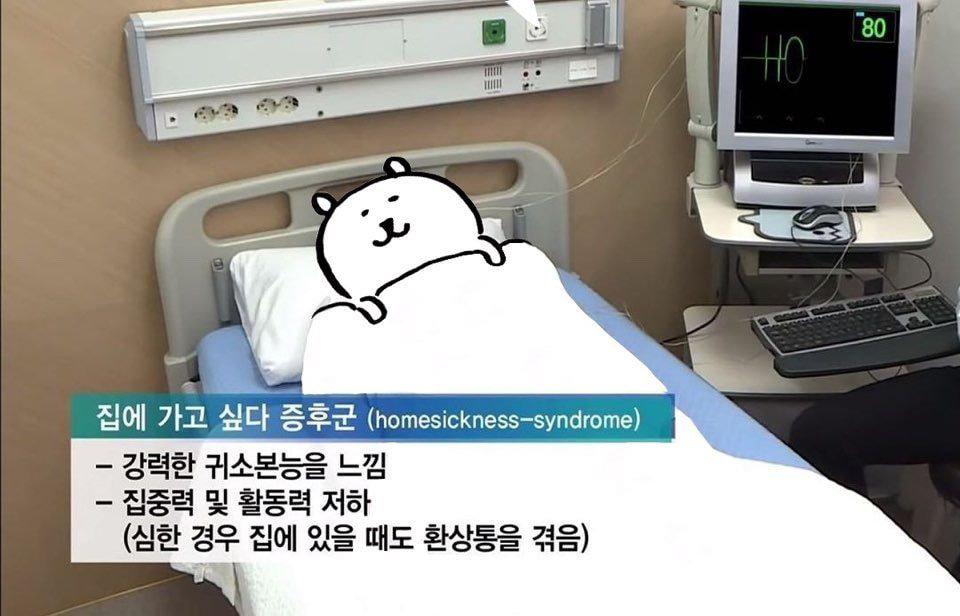 마니랜드 레진조색제 일괄 | 브랜드 중고거래 플랫폼, 번개장터